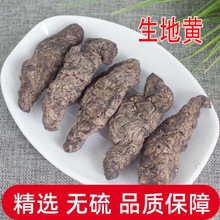 生地黄500g克特级焦作怀地黄新鲜干生地天然食用老生地个配茜草根