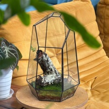 �~�l�׺β����������控�T�Ӵ�΢���^̦�\ֲ�ﻨƿ��߅����������