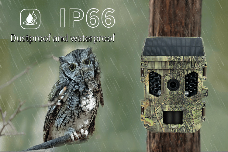 32MP WLAN-Wildkamera mit Solarbetriebener PIR-Bewegungserkennung für Outdoor-Tracking – Detail 5