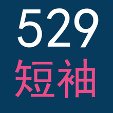 2025���ļ��¿���b����529����