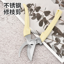 户外园林剪不锈钢锋利修枝剪刀嫁接园艺花木剪刀家用花艺剪刀工具