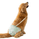 Физиологические штаны с большими собаками в больших собаках в больших собаках