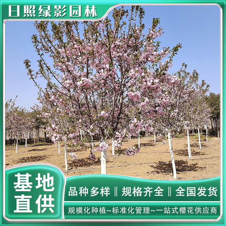 IMG_20220410_094840 副本.jpg