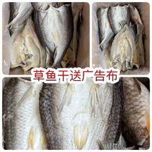 �_߅���~�� �ؔ� ��� ���~�� ���~�� ���~Ƭ  �ɲ��~ ���~�l�K