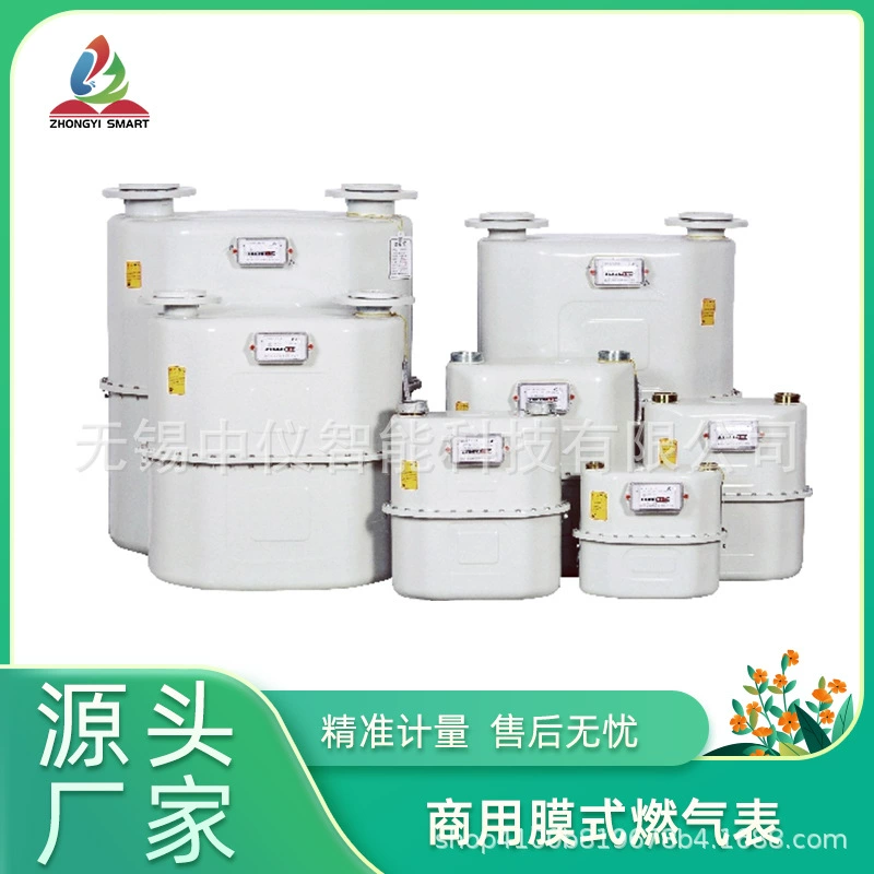 Промышленный коммерческий газовый счетчик механический газовый счетчик мембранный газовый счетчик G40 калибра газовый счетчик стальной оболочки