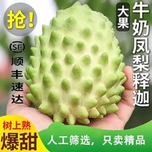 释迦果凤梨释迦番荔枝新鲜应当季孕妇高端水果送礼顺丰代