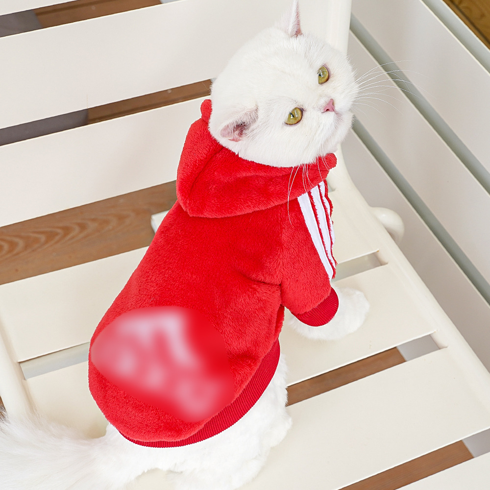 Ropa para mascotas franela marca de moda de dos patas suéter estilo carta cubo oso perro gato pequeño mediano grande suministros para perros