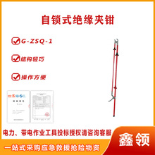 G-ZSQ-1�߉����o�i���U10kV��ͣ����I�����Q�^�����iʽ�A�Q