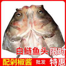 白鰱魚頭鮮凍魚頭花鰱魚頭食用煲湯魚頭批發胖頭魚