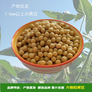 ��ӯ�S���¼Z�F؛�|���a�ط��D�����7.0���S��100��ּZ����