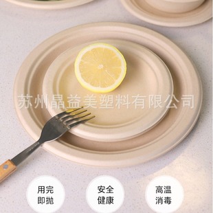 Outdoor Camping Style Biodegradable Packaging Box Lunch Box Disposable Round Box Light Food Salad Takeaway Box Biodegradable Lunch Box