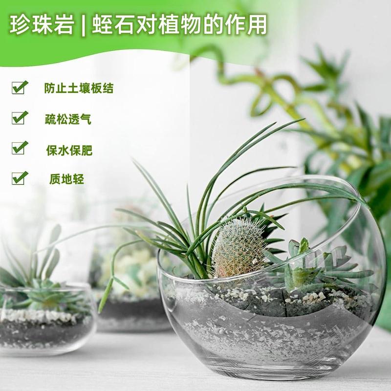 ベニバナ土 多肉植物専用土 根出し花用栄養剤 苗床播種用粒状土壌調整剤|undefined