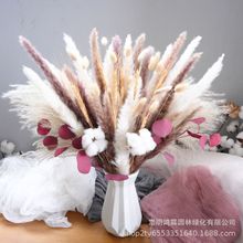 �ɻ��������R�d�羳�S�����l�ɻ�С�����M�ϻ��С�JȔ���m��β��