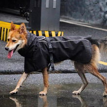 �����ˮ�羳���ﹷ���·������������������ë�»��д���Ȯ���I