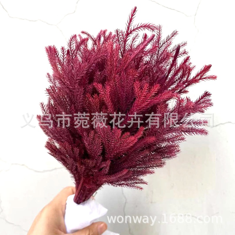 微信图片_20210118233354