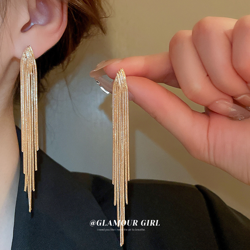 Pendientes largos de borla de cadena de aguja de plata Pendientes de alto grado de lujo ligero europeo y americano Pendientes de diseño de moda exagerada de nicho