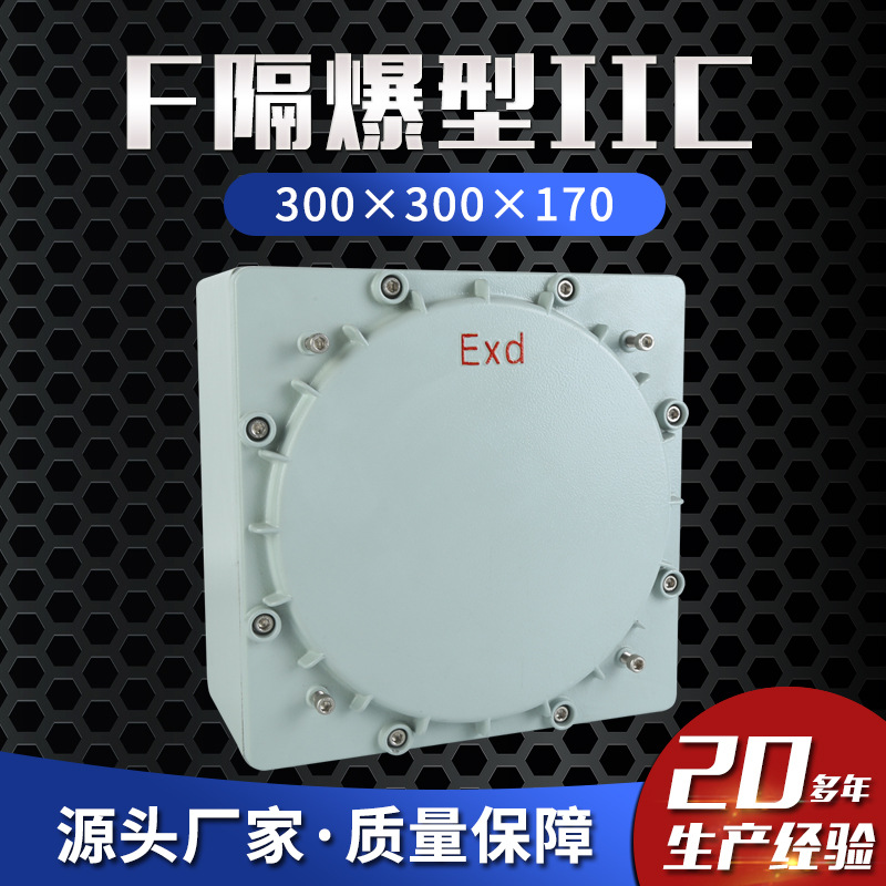 隔爆型ⅡC 300×300×170防爆接线箱 防爆配电箱 防爆控制箱防尘