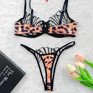 Cross-border foreign trade hot leopard print embroidery perspective mesh suit sexy comfortable simple generous sexy underwear
