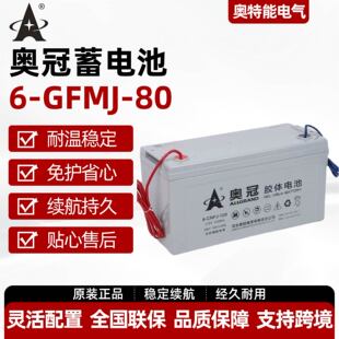 �W����늳�6-GFMJ-80 12V80AH�������� ���� �L��̫���