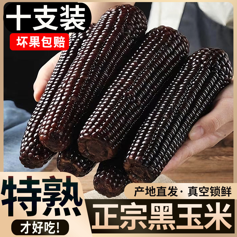 正宗东北黑玉米新鲜黑糯玉米甜粘玉米新鲜水果黄糯玉米10根大果