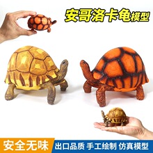仿真实心陆龟模型玩具象龟安哥洛卡龟乌龟大全星鳄龟摆件儿童礼物