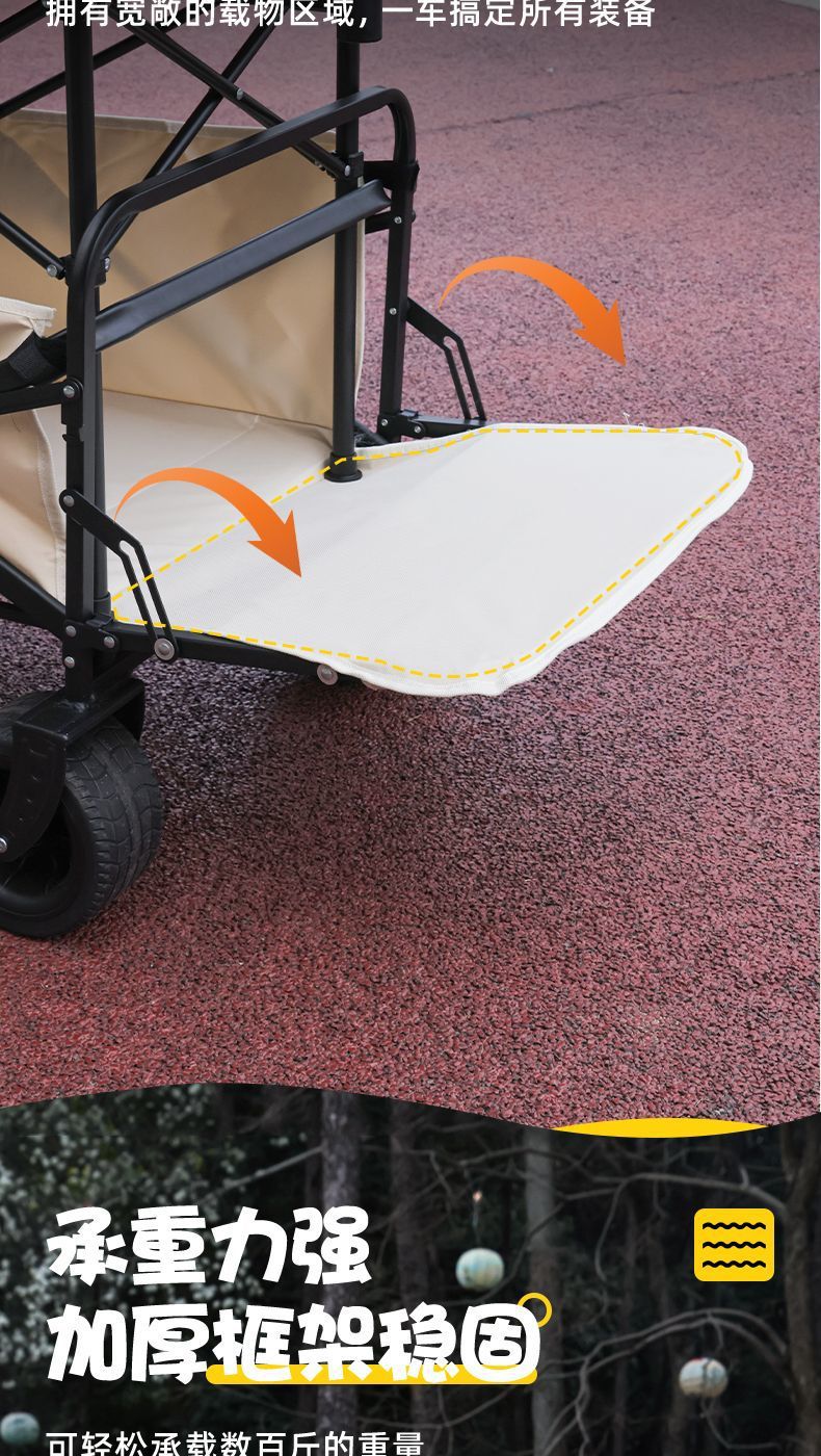 f16769a9-8170-4e66-b9b1-1de6bb19543e.jpe