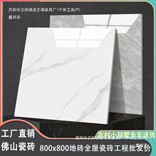 广东佛山瓷砖地砖800x800通体大理石地板砖客厅防滑