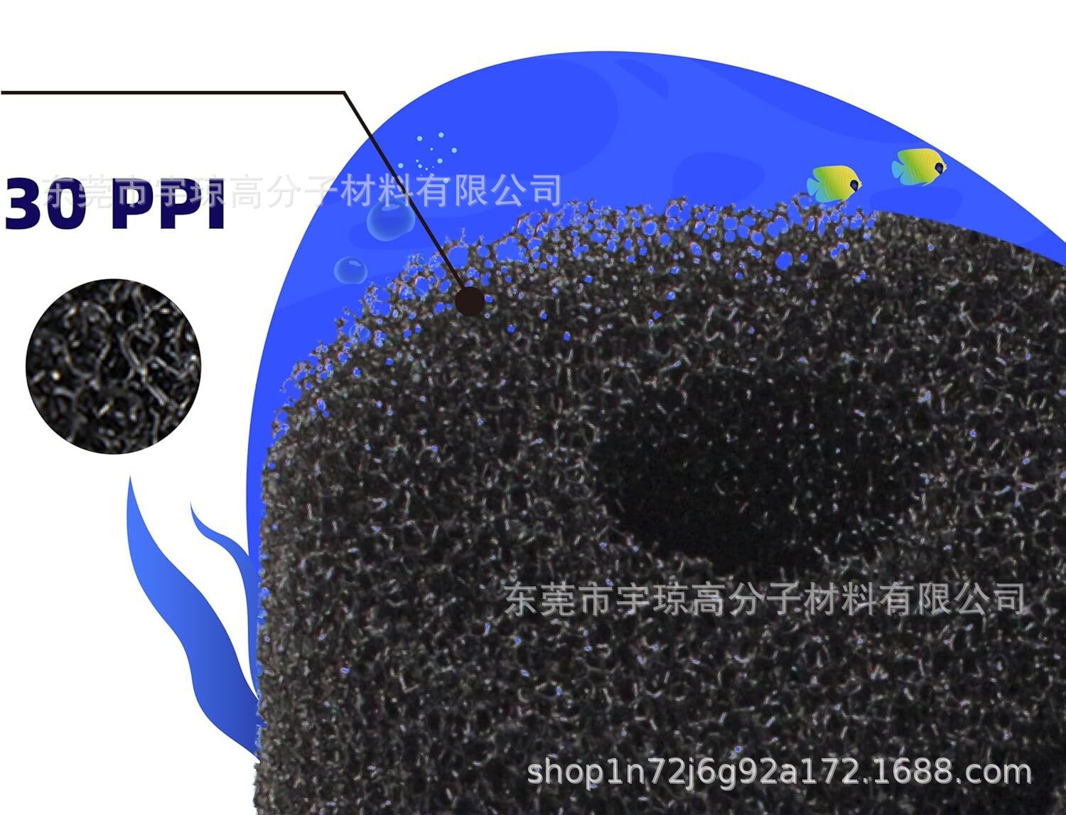 818Vx-VygJL._AC_SL1500_