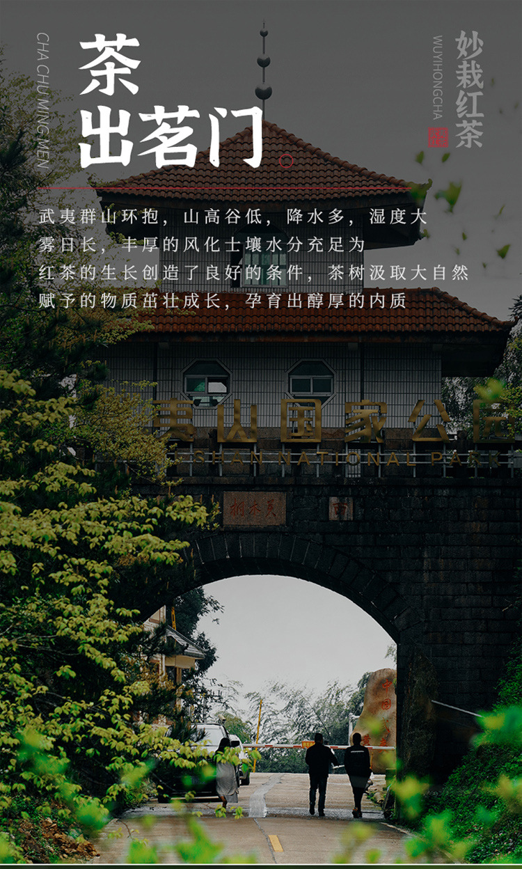 正山小種詳情頁_01.jpg