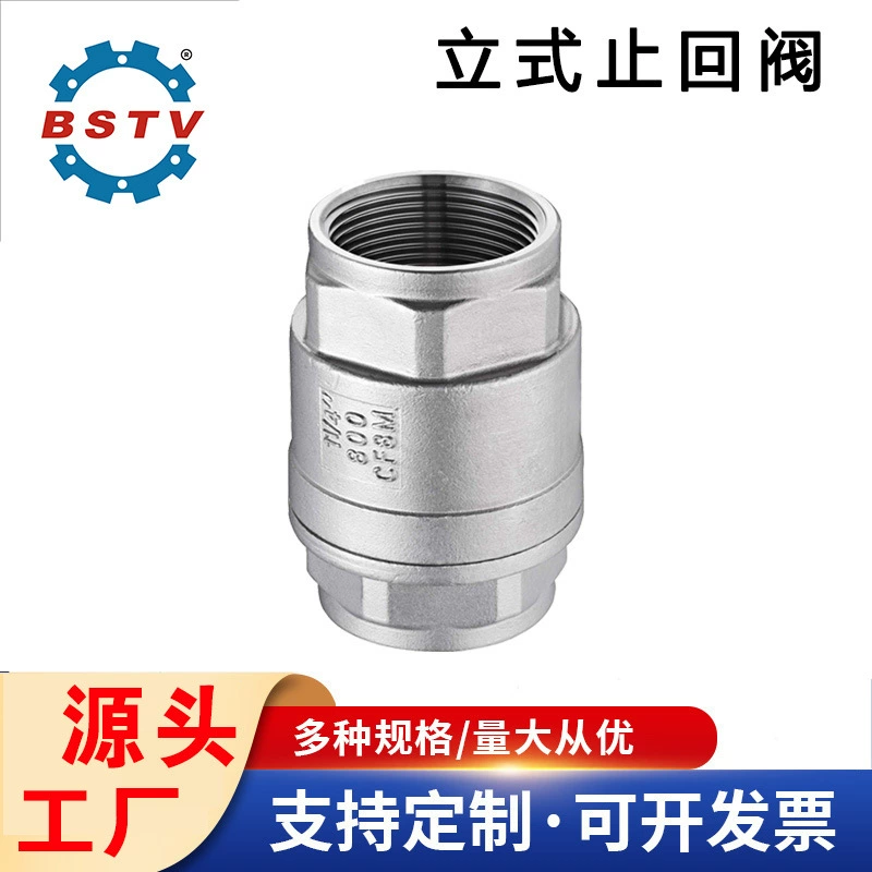 Нержавеющая сталь 201/304 H12W Вертикальный обратный клапан с внутренней резьбой пружинный обратный клапан