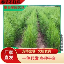 һlСȰ°~Ѭؘ~ș°ؘ