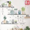 Northern Europe Botany Potted plant Wall stickers Sticker bedroom a living room Room ornament ins wallpaper wallpaper