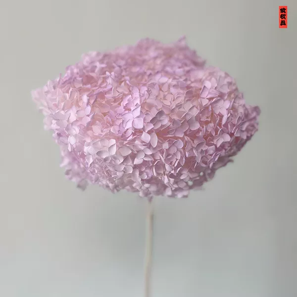 Misty purple/support (spray color)