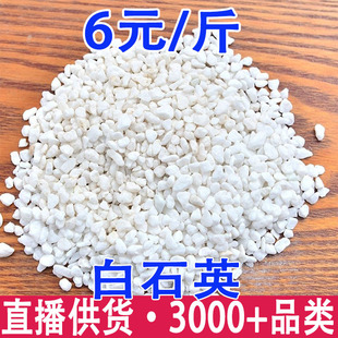 ��ʯӢ ��ʯӢ �Vʯ��ȫ �a��؛Դ