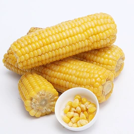 水产干货类;虾类;鱼类零食