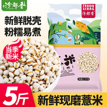 ��޲�ז|���tС���t��޲�����޲�װˌ�������s�Z��5��