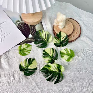 ���������~�����~��ֲ��ٻ����滨�廨�����~�ٗl���DIY���
