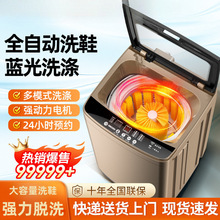 小型洗鞋机全自动10家用洗鞋神器洗脱一体小型专业刷鞋机洗鞋机