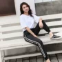 春秋宽松修身薄款运动裤