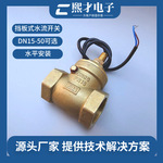 熙才XICAI厂家供应全铜挡板式流量开关传感器水流量控制开水泵