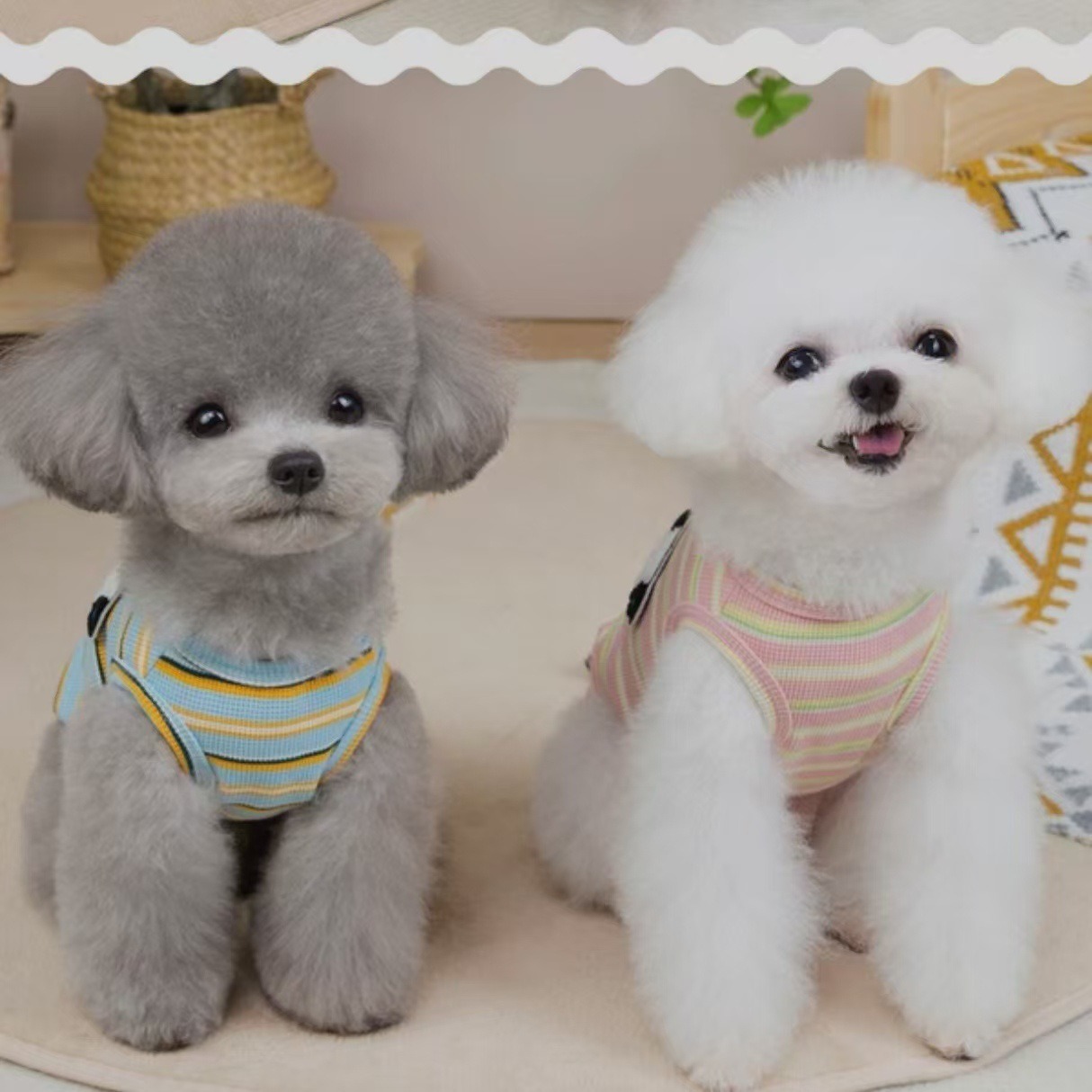 애완동물 옷 강아지 고양이 순면 봄 여름 얇은 스트라이프 소형견 테디 비숑 컬러풀 스트라이프 가볍고 편리