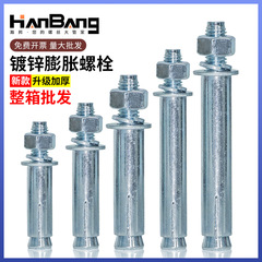 整箱镀锌加长超长金属铁膨胀螺丝大全拉爆箱装6M8M10M12M14M16M20