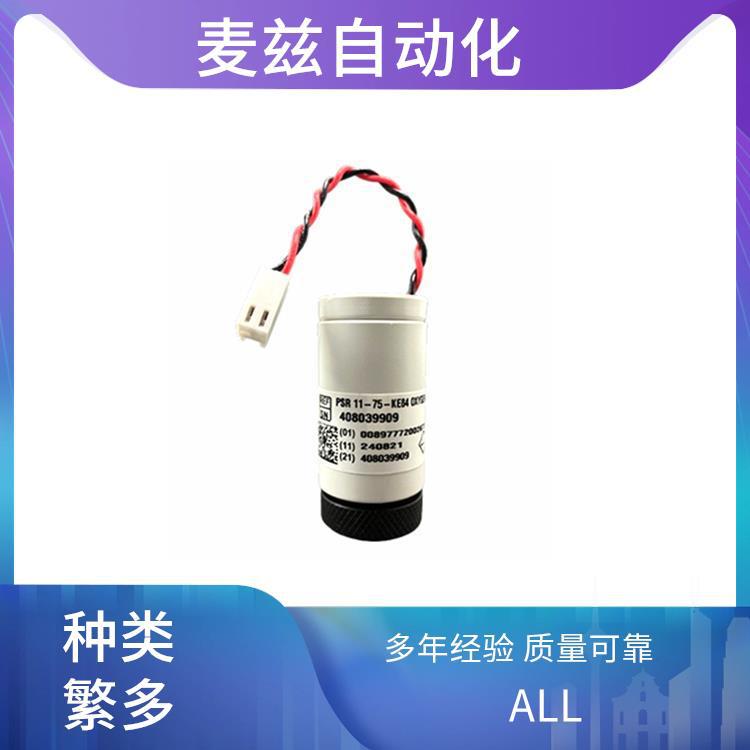 GPR-13-2000-UHP-2E 氧压力传感器  系列 AII 氧分析仪