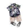 Children's shirt, beach set for boys, 0-5 years, with short sleeve, suitable for import, wholesale