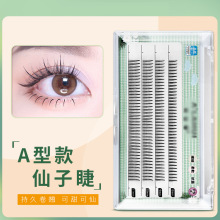 �C��Сeħ��ë�ٽ�ë��ȻA�������~β���½�ë�������������l