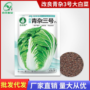 ���s��̖��ײ˷N�����＾�͟�ײ˷N���ͳ�̦�����߲��яS�����l