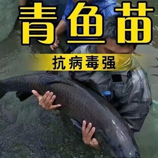 �����~����w��ˮ�Bֳ�~����ˮ�����~�Ҳ��~���ݽz��·���~�����
