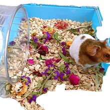 �ח�ľ�ٻ��ח�ľƬľ���}���z�ܻ�֦��Ʒľм�����o�m�ļ��|��