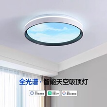 ȫ���Vled��픟��ѽ�������С��������؈���`�������������՟�
