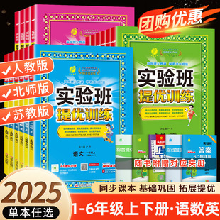 Experimental Class Improvement Training Primary School Grades 1-6 Volume 1 Chinese, Mathematics, English, Jiangsu Education and Beijing Normal University Consolidation and Improvement Exercise Book